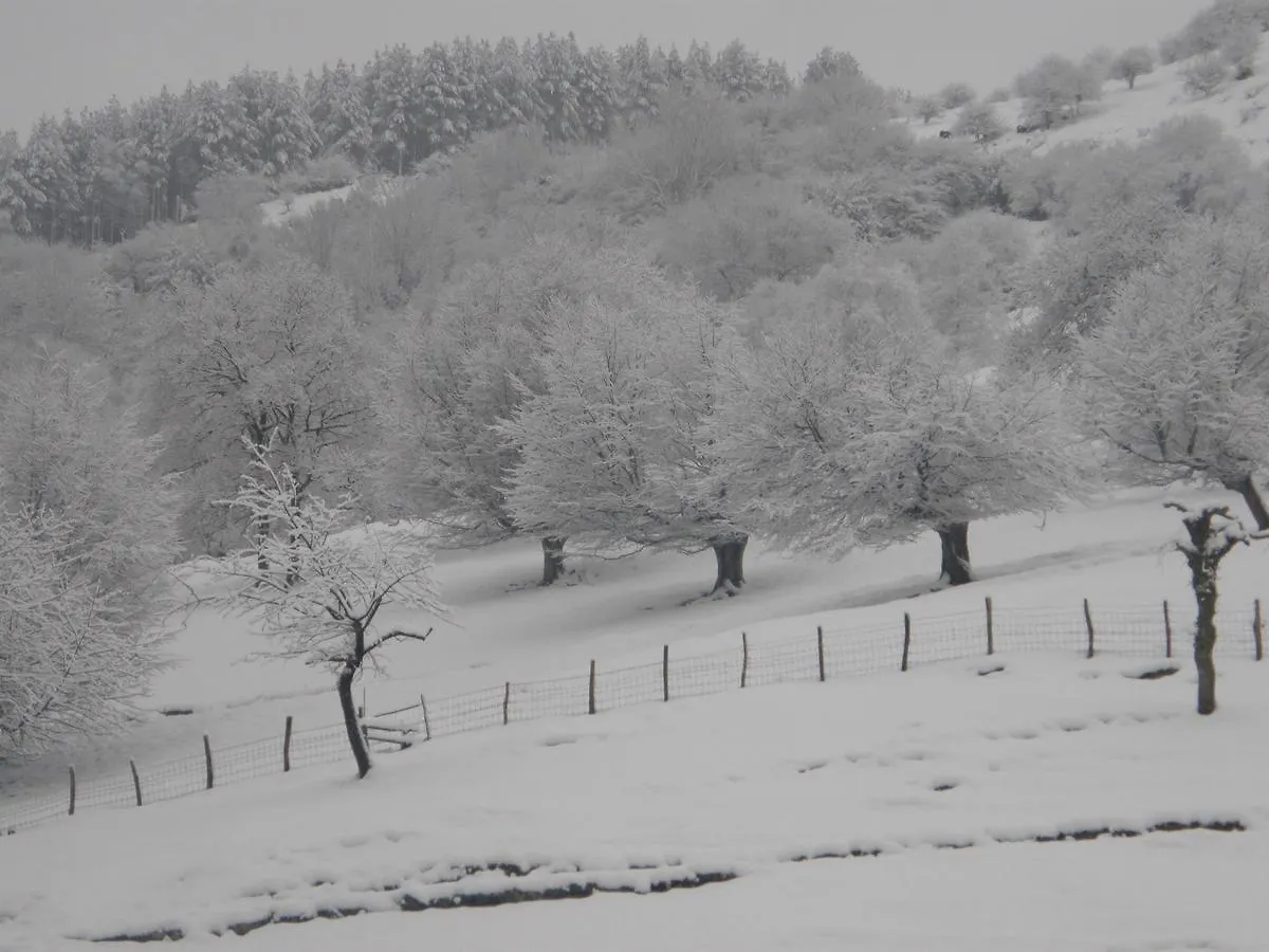 Casa Rural Alustiza Guest House Villabona